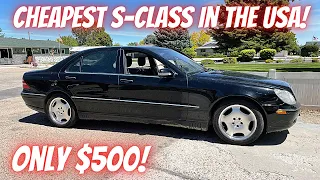 I Bought the CHEAPEST Mercedes S-CLASS in the USA! (Runs Great, But Won't Drive) W220 S430