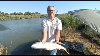 Tutorial - Pesca al Cefalo con la pasta - Dalla teoria alla pratica ;)  Con un Big Fish inaspettato!