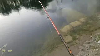 Catching That SURPRISE MONSTER fish for dinner!