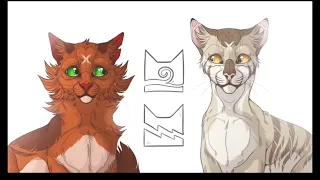 Cigarette out the Window // WarriorCats Amv