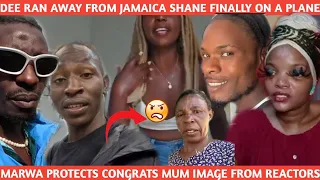 DEE MWANGO KICKED OUT OF JAMAICA BACK B0DYSHAMING HER PLUS SIZE SUBS MARWA CRY FOR CONGRATS MUM &DAD