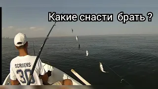 Ловля ставриды на Черном море.На что ловить и когда?