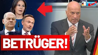 Regierung führt Kampf gegen die Realität und betrügt die Bürger! - Rüdiger Lucassen - AfD-Fraktion