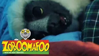 🐒 Zoboomafoo 🐒 109 | Night Time - Full Episode | Kids TV Shows