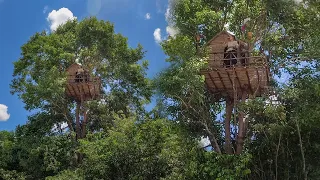 Build The Most Beautiful Tree bamboo villa in Deep Jungle