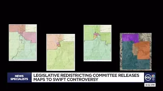 Legislative Redistricting Committee releases maps to swift controversy