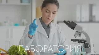 Экскурсия по лаборатории ЭкоБазара