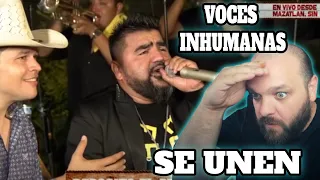 Mi Mayor Anhelo  |  El Mimoso, Pancho Barraza, El Flaco...| QUE LOCURA DE VOCES😱 REACCIÓN Y ANÁLISIS