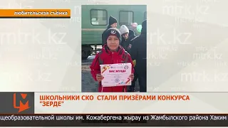 Школьники СКО стали призёрами конкурса исследовательских проектов и творческих работ "Зерде"