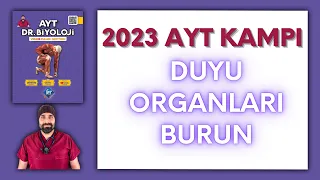 Duyu organları - Burun AYT Biyoloji Kampı Konu Anlatımı/ 11.Sınıf 2024 Tayfa