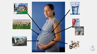 Environmental Threats to Reproductive Health and Human Fertility