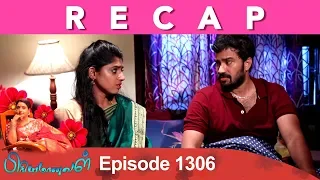 RECAP : Priyamanaval Episode 1306, 30/04/19