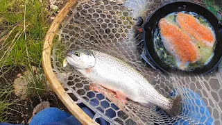 This Stocked Trout Tastes Like SALMON!! (Catch & Cook)