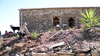 #40 Planting a mediterranean garden around our italian stone house - Phase 2 of landscaping!