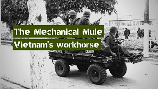 The US Army's wheeled Workhorse | The Mechanical Mule in the Vietnam War