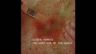 THE LAST VHS IN THE WORLD