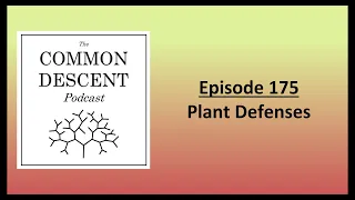 Episode 175 - Plant Defenses