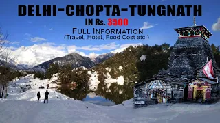 CHOPTA TUNGNATH CHANDRASHILA Trek in just Rs. 3500 | Travel Guide 2020 | BUDGET BREAKDOWN