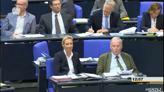 Alice Weidel (AfD) Einspruch gegen Ordnungsruf &  fordert eine namentliche Abstimmung 17.05.2018