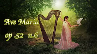 Ave Maria op.52 n.6 #FranzSchubert #base #ktv #Karaoke  #StudyingClassic #Classic #INSTRUMENTAL