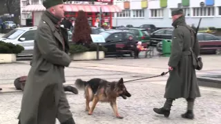 GRYF24.pl | 07.03 | Stutthof Stolp - rekonstrukcja Marszu Śmierci