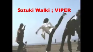 SZTUKI WALKI, FILMY - ZDRADA ( VIPER ) z Hwang Jang Lee. Martial Arts Film, Lektor PL. Eng. dubbing