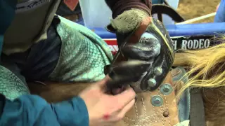 How Bareback Bronc Riggings Work