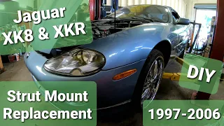 Jaguar Xk8 Xkr Front Strut Mount Replacement 1997-2006 Jag