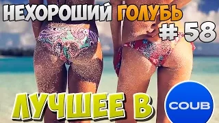 Лучшее в COUB | ЛУЧШИЕ ПРИКОЛЫ | Best JOKES #58