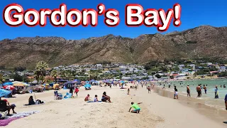 S1 – Ep 257 – Gordon’s Bay – A Beautiful Harbour Town in False Bay!