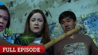 My Special Tatay: Full Episode 15