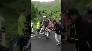 Mathieu Van der Poel - Passo Fedaia 2022 Wheelie