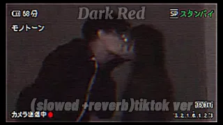 Dark Red by Steve Lacy|| (slowed+reverb)[TikTok Ver.] || Please dont give up on me, only you my girl