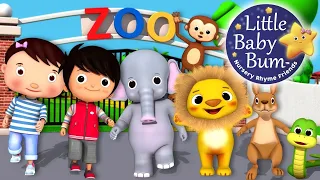 Zoo Song   Super Supremes Cartoons   Kindergarten Nursery Rhymes For Toddlers   Kids Cartoons Videos