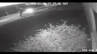 St. Petersburg police release video from fatal hit-and-run