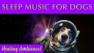 Sleep Music for Dogs and Humans Black Screen 💤 432Hz Bliss