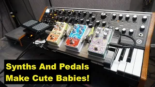 PEDALS WITH SYNTHS: You Gotta try this!