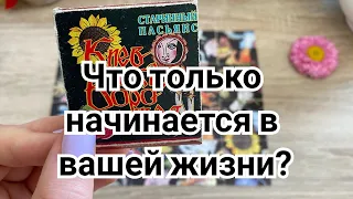 Что только начинается в вашей жизни? Гадание на пасьянсе Карина Захарова