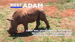 Meet Adam