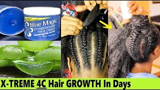 I Used Hair Grease And Aloe Vera To Grow My Hair - Here Are The Results!