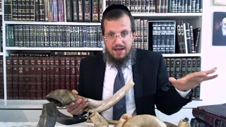 Crash Course! Shofar blowing 20min. clear and concise Halacha and practical
