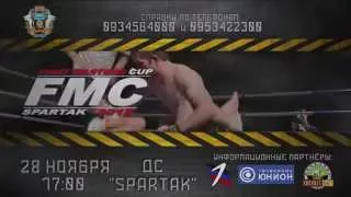 Чемпионат по смешанным боям "FMC - fight masters cup"