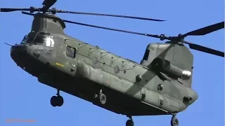 Nice ARRIVAL and Great SOUND Chinook Royal Netherlands AF, Leeuwarden AB (EHLW)