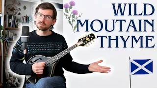 Wild Mountain Thyme - Scottish Folk Song - Mandolin Lesson (Beginner & Intermediate)