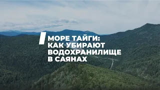 Саяно-Шушенское водохранилище очищают от древесного хлама