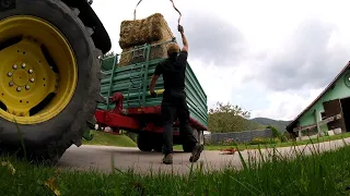 Straw Bales and More Hay