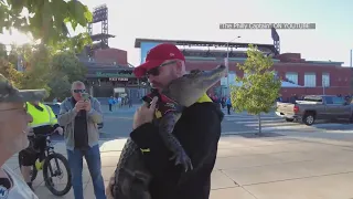 Emotional support alligator denied entry into Phillies ballpark