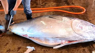 Fluency Cutting Skills of Over 300 kgs of Bluefin Tuna