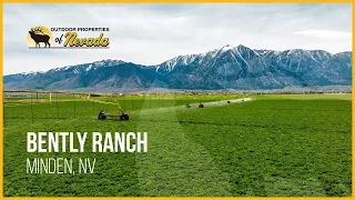 Exploring the $90,000,000 Bently Ranch | Minden, Nevada