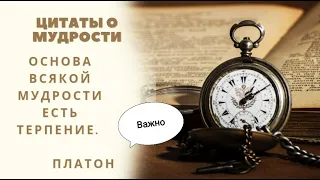 Цитаты о мудрости и мудрецах. Афоризмы.